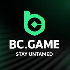 BC.Game Login Your Gateway to Online Gaming -159078046